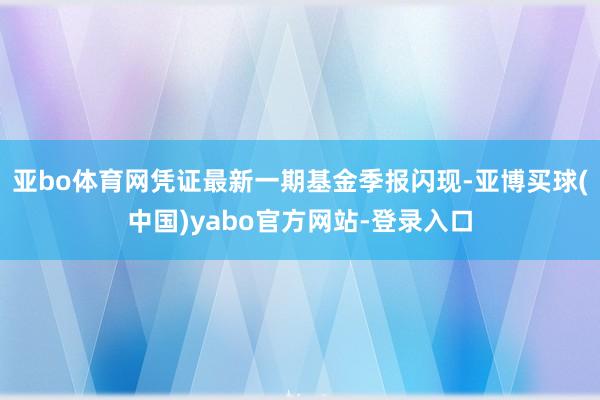 亚bo体育网凭证最新一期基金季报闪现-亚博买球(中国)yabo官方网站-登录入口