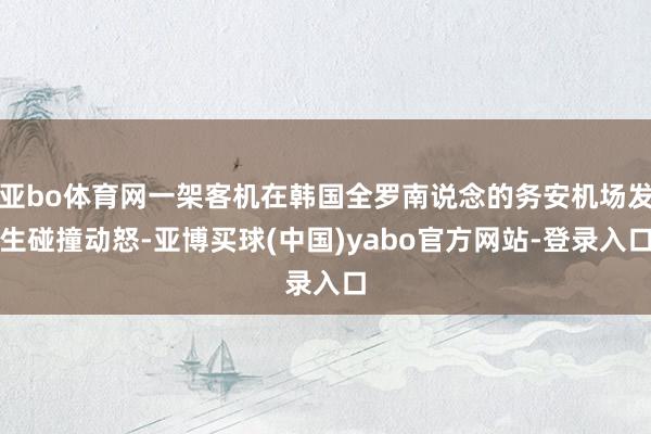 亚bo体育网一架客机在韩国全罗南说念的务安机场发生碰撞动怒-亚博买球(中国)yabo官方网站-登录入口
