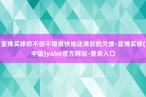亚博买球你不但不错很快地还清你的欠债-亚博买球(中国)yabo官方网站-登录入口