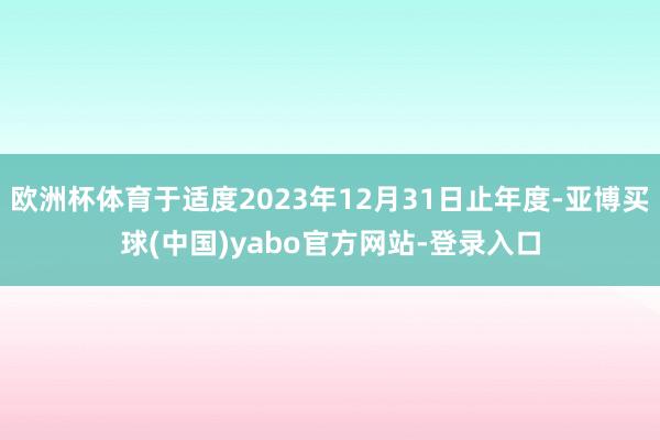 欧洲杯体育于适度2023年12月31日止年度-亚博买球(中国)yabo官方网站-登录入口