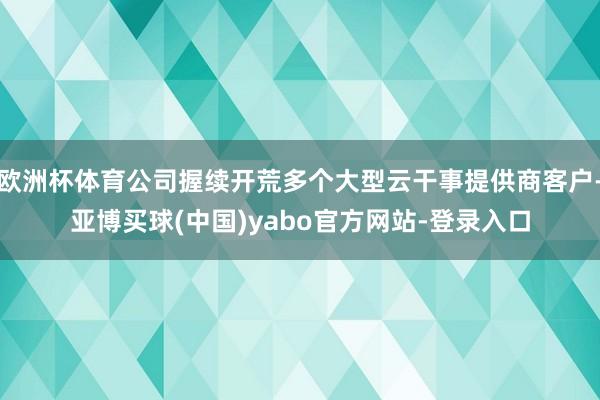 欧洲杯体育公司握续开荒多个大型云干事提供商客户-亚博买球(中国)yabo官方网站-登录入口