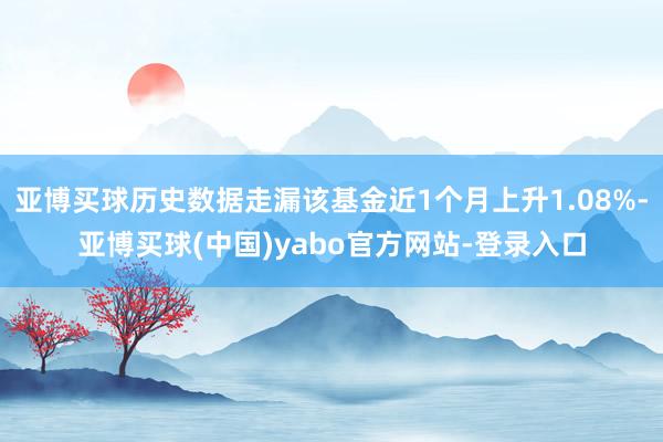 亚博买球历史数据走漏该基金近1个月上升1.08%-亚博买球(中国)yabo官方网站-登录入口