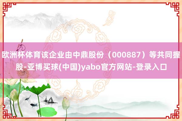 欧洲杯体育该企业由中鼎股份（000887）等共同握股-亚博买球(中国)yabo官方网站-登录入口