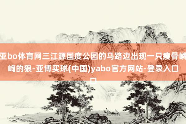 亚bo体育网三江源国度公园的马路边出现一只瘦骨嶙峋的狼-亚博买球(中国)yabo官方网站-登录入口