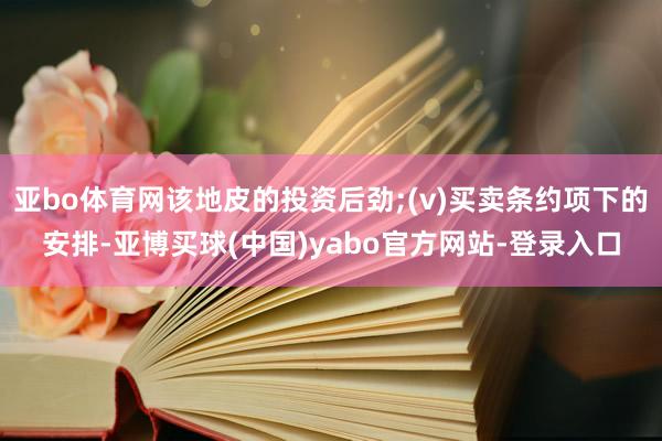 亚bo体育网该地皮的投资后劲;(v)买卖条约项下的安排-亚博买球(中国)yabo官方网站-登录入口