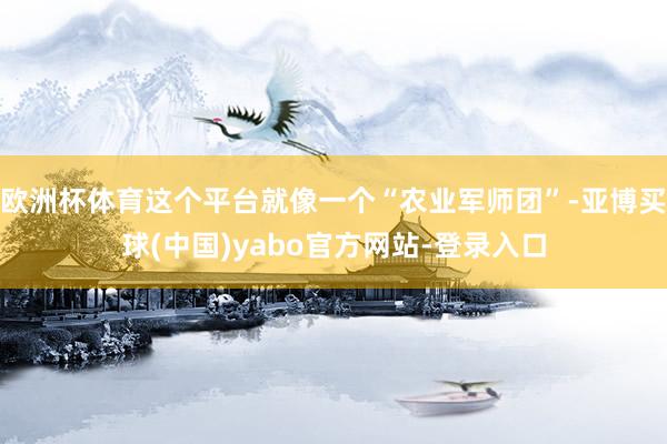 欧洲杯体育这个平台就像一个“农业军师团”-亚博买球(中国)yabo官方网站-登录入口