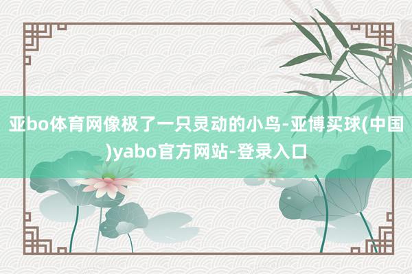 亚bo体育网像极了一只灵动的小鸟-亚博买球(中国)yabo官方网站-登录入口