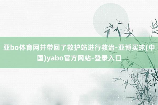 亚bo体育网并带回了救护站进行救治-亚博买球(中国)yabo官方网站-登录入口