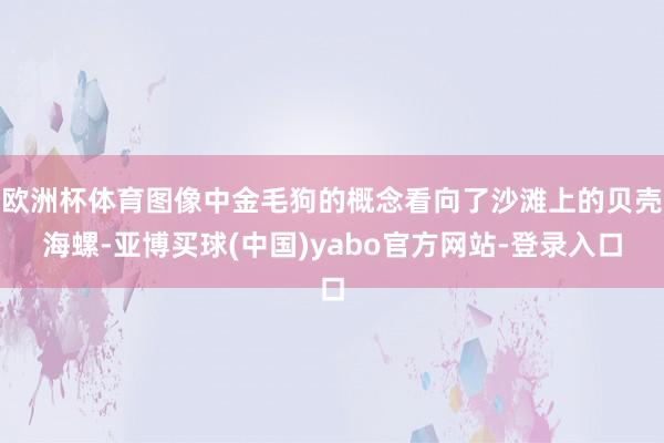 欧洲杯体育图像中金毛狗的概念看向了沙滩上的贝壳海螺-亚博买球(中国)yabo官方网站-登录入口