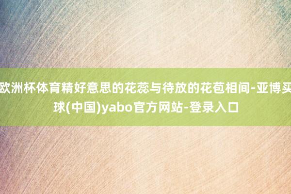 欧洲杯体育精好意思的花蕊与待放的花苞相间-亚博买球(中国)yabo官方网站-登录入口